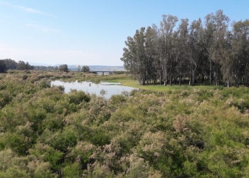 RUTA TRAMO DE LA VÍA VERDE